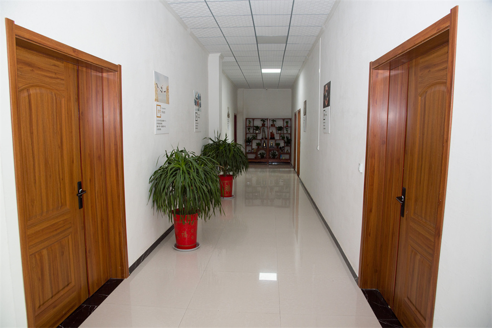 公司展示